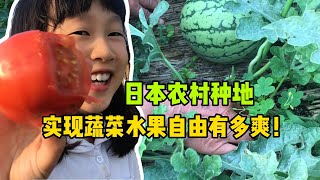 遠嫁日本農村當農民，實現蔬菜水果自由有多爽？天價西瓜吃到飽！ [upl. by Lexie]