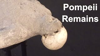 Pompeii Ruins Italy  Body Casts amp Human Remains  Mount Vesuvius Volcano  Travel Vlog [upl. by Andie521]