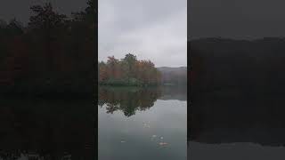 Gorgeous autumn foliage at Laurel lake Breaks Interstate Park Breaks VA fall [upl. by Anaeirb]