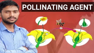 pollinating agent  pollination  types of pollination [upl. by Enaid]