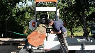 On the big Logosol B1001 bandsaw mill Goat Willow [upl. by Enialem]