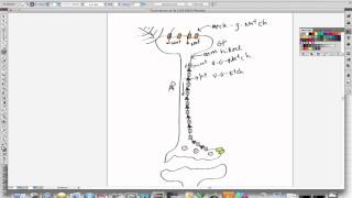 Signal transduction in a quottouchquot neuron [upl. by Yasdnyl436]