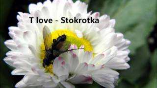 T love  stokrotkawmv [upl. by Zehe]