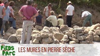 Les Pieds dans le Parc 2  Les murs en pierre sèche [upl. by Mitzi800]