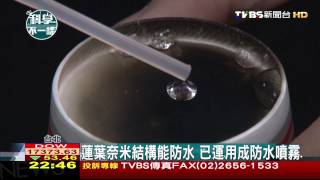 【科學不一樣】蓮葉奈米結構能防水 已運用成防水噴霧 [upl. by Lemrac288]