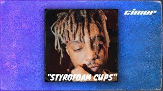 Free Juice WRLD Type Beat 2024  Styrofoam Cups [upl. by Yoshi869]