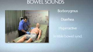 HAL® S3201  Part 9  Bowel sounds [upl. by Range693]