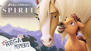 Spirit Is Born 🍼  Spirit Stallion of the Cimarron Here I Am Full Song  Movie  Mega Moments [upl. by Narik]