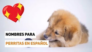 🎀 Bonitos nombres para PERRITAS en español 🐶 CORTOS LARGOS y UNICOS [upl. by Scever]