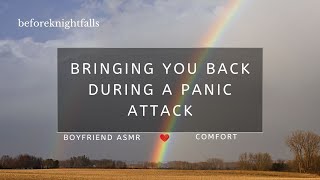 ASMR bringing you back during a panic attack [upl. by Ednalrim]