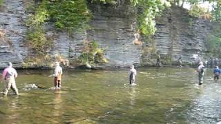 Snaggers  Lifters  Litterbugs on Salmon River Ny [upl. by Ayrb]