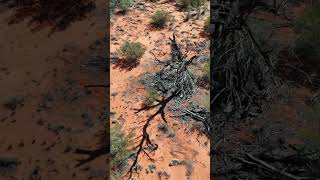 Dramatic aerials using DJIMini4 Pro Drone  4K  Central Australia [upl. by Cecelia]