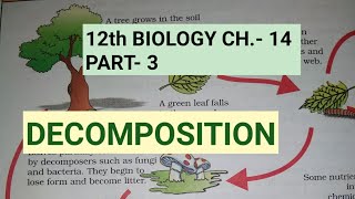 Class 12 biology chapter 14Part 3DecompositionStudy with Farru [upl. by Eicul631]