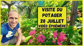 Visite du potager  20 juillet 2021 [upl. by Annaerb]