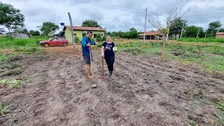 APROVEITAMOS A CHUVA E PLATAMOS NOSSA PRIMEIRA ROÇA DE MILHOvida na roça [upl. by Gairc]