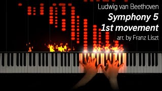 BeethovenLiszt  Symphony 5 1st Movement 25k subs special [upl. by Mcnully]