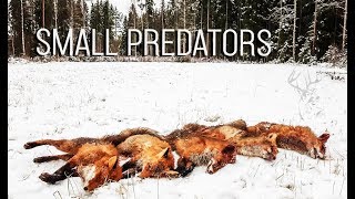 NH Pienpedot  Predator hunting in Finland  2017 [upl. by Brenna803]