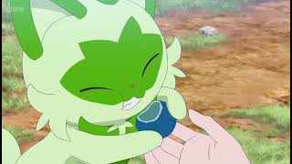 sprigatito eating the Oran Berry  pokemon horizon englishdub 💞🐾🌸💞 [upl. by Brenza767]