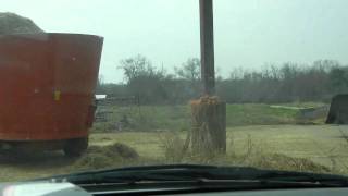 Watching The Feed Truck And Mixer Wagon Being Loaded [upl. by Ecaroh]