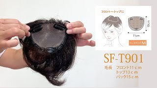 SFT901紹介動画 [upl. by Saile]