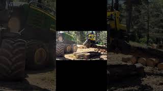 Logging Machine  Powerful Machinery [upl. by Auqeenwahs]