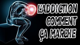 ADDICTIONS  comment votre cerveau vous rend ACCRO Circuit De La RÉCOMPENSE [upl. by Ahsym]