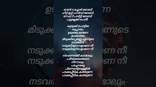 Kudukku Song by Vineeth Sreenivasan  Malayalam Song Lyrics song shorts status trend [upl. by Frantz]