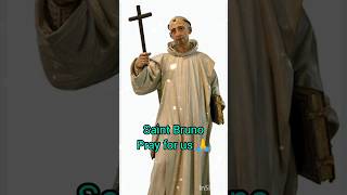 saint bruno of cologne  founder of carthusian monks saintoftheday shortsfeed saint shorts [upl. by Anaahs]