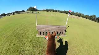 GoPro Wyeth the Mustang Training  2023 Majestic Oaks Schooling Show II  Cross Country [upl. by Bernt]