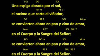 CANTOS PARA MISA  UNA ESPIGA DORADA POR EL SOL  COMUNION  ACORDES Y LETRA [upl. by Blaise]