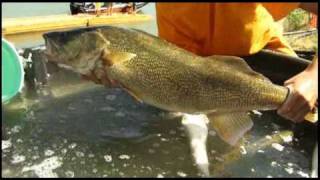 Lake Diefenbaker  Fishing [upl. by Atsirc]