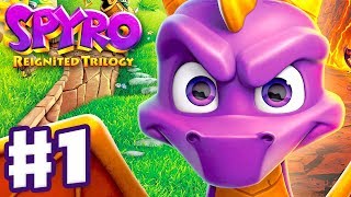 Spyro Reignited Trilogy  Spyro The Dragon  Gameplay Walkthrough Part 1  Artisans 120 [upl. by Nahgen398]