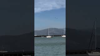 Blue angels flyby at fleet week San Francisco [upl. by Lodge]