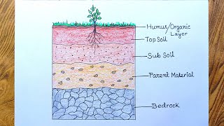 Easy layers of soil diagram drawing for beginners How to draw Layers of soil [upl. by Zenger]