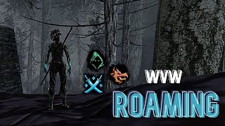 Gw2 WvW  Multiclass roamingoutnumbered [upl. by Matthews]