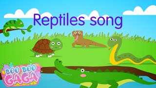 The Reptile Song for Kids by Boo Boo Gaga booboogaga [upl. by Eciruam]