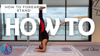 6Minute How To Master Forearm Stand  Awaken Yoga Inversion Progressions [upl. by Anwat]