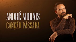 André Morais  Canção Pássara [upl. by Zola]