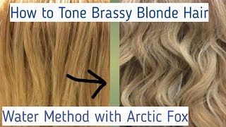 Toning Blonde Hair Extensions with Arctic Fox Purple Hair Dye to Tone [upl. by Marquez661]