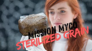 Mission Myco Sterilized Grain [upl. by Yekcaj]