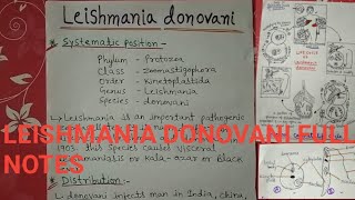 Leishmania donovani full notes [upl. by Lenuahs]