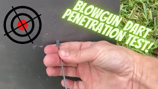 Blowgun dart penetration test [upl. by Ettennaej]