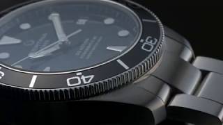 DS Action Diver [upl. by Ulberto]