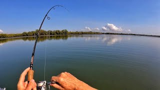 The Hunt for a Big Flathead on the Flats [upl. by Mavilia]