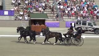 Dries DEGRIECK BEL FEI CHMAH4 Szilvásvárad Hungary dressage 06092024 [upl. by Crichton]