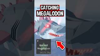 CATCHING MEGALODON EARLY in Roblox Fisch [upl. by Mauve490]