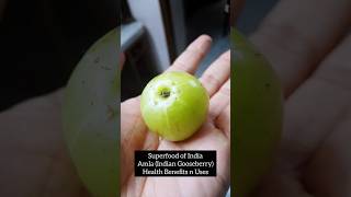 Amla Health Benefits healthyfood healthylifestyle trending shorts foodlover [upl. by Trill]