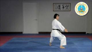 Heian Shodan  International HayashiHa ShitoRyu [upl. by Jasisa]