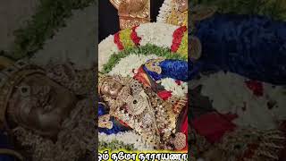 ஓம் நமோ நாராயணா 🌷🌷🌷🙏 viralvideos devotionaltamil spbdevotionalsongs [upl. by Domini743]