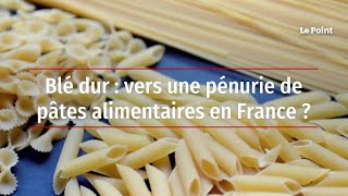 Blé dur  vers une pénurie de pâtes alimentaires en France [upl. by Ahsiner]